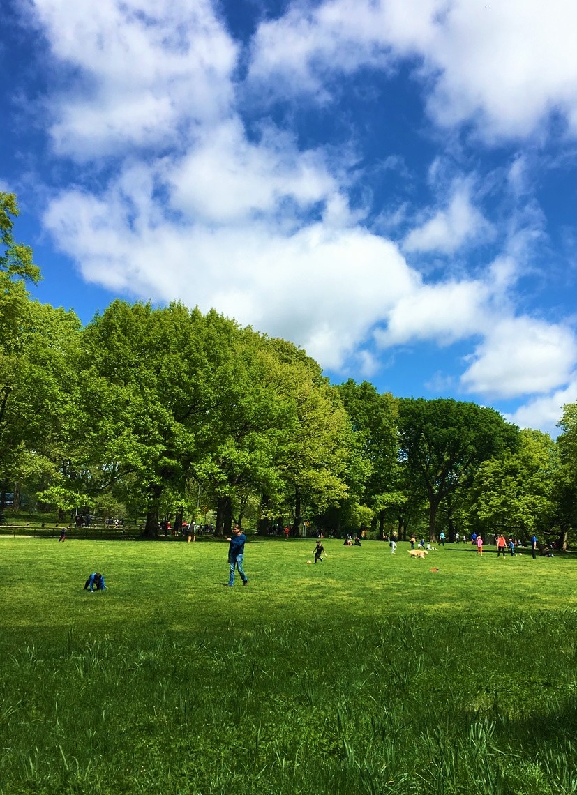 Central Park 11-36 a.m. 5-14-2017 (4).jpg